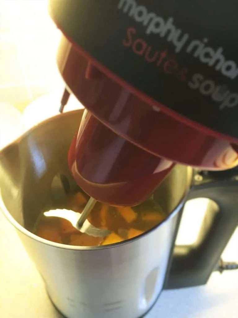 Morphy Richards Saute and Soup Maker