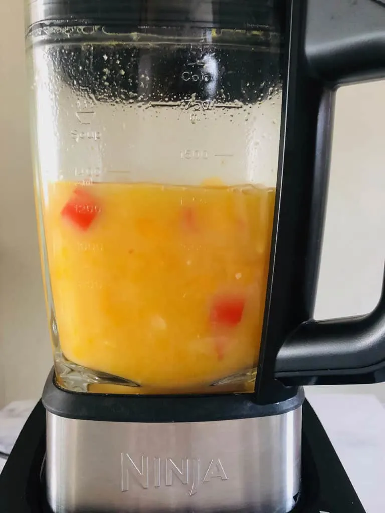 ingredients for spicy butternut squash soup in ninja blender