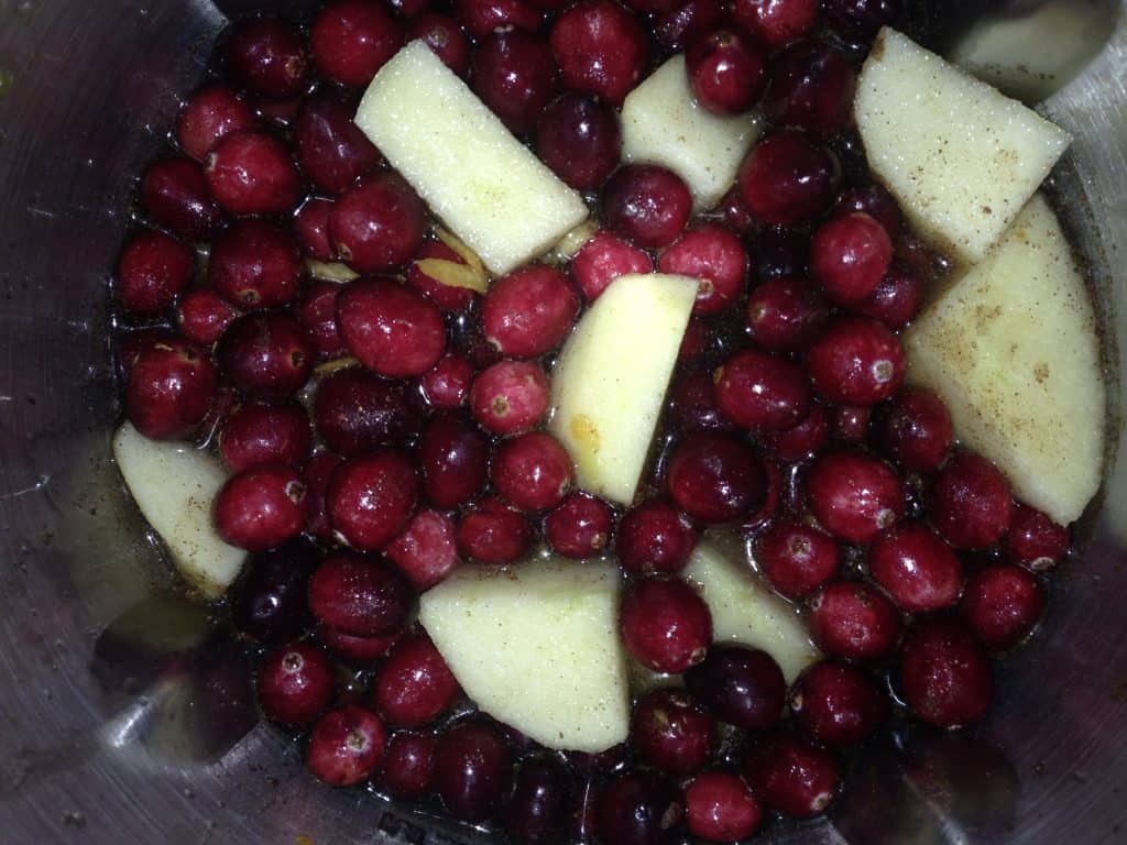 Cranberries in Soup Maker