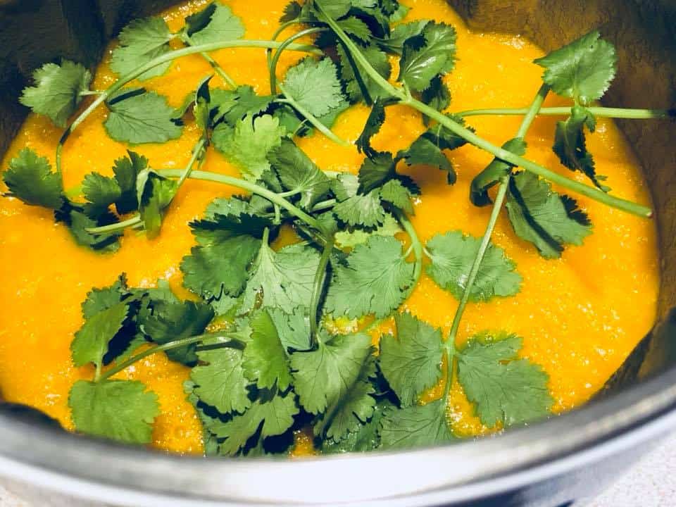 carrot and coriander in soup maker