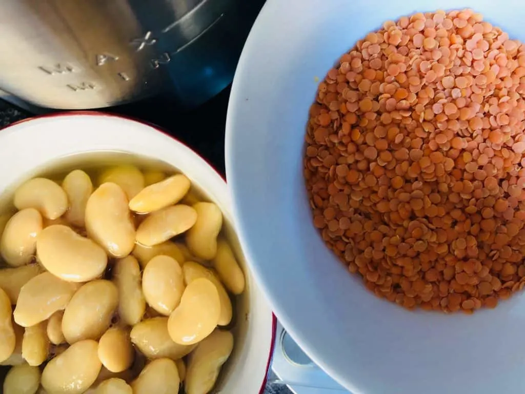 lentils in a soup maker