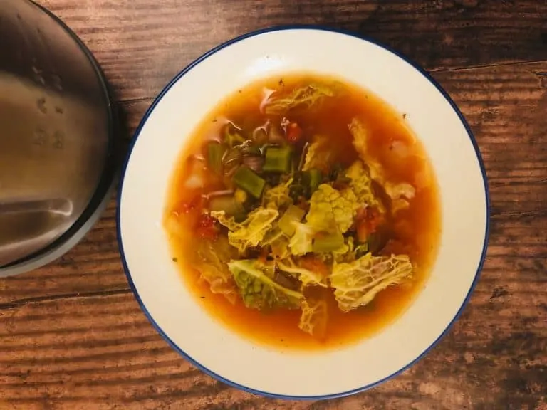 cabbage soup in bowl next to soup maker