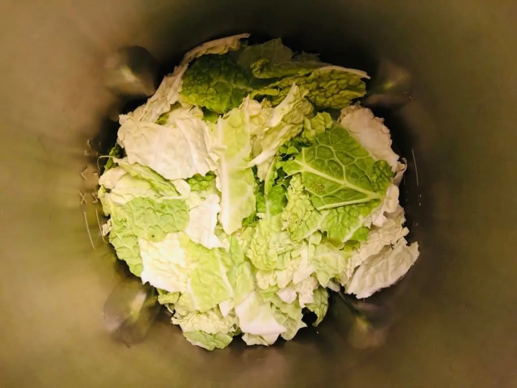 shredded cabbage in soup maker