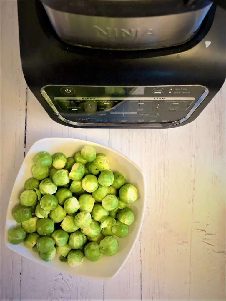 sprouts in bowl next to ninja soup maker