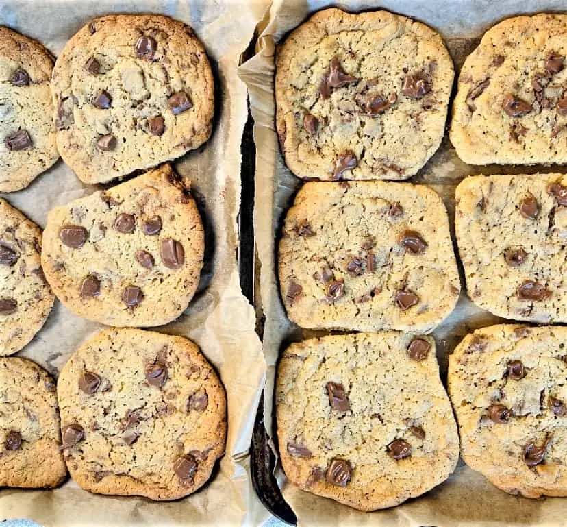 chewy chocolate cookies straight from the oven