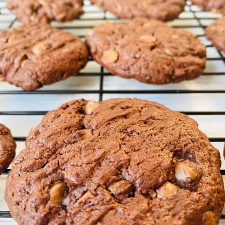 chocolate shortbread