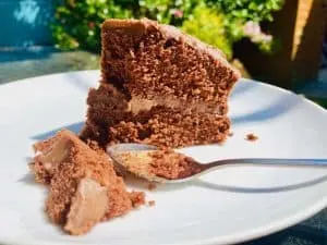 Simple Chocolate Cake