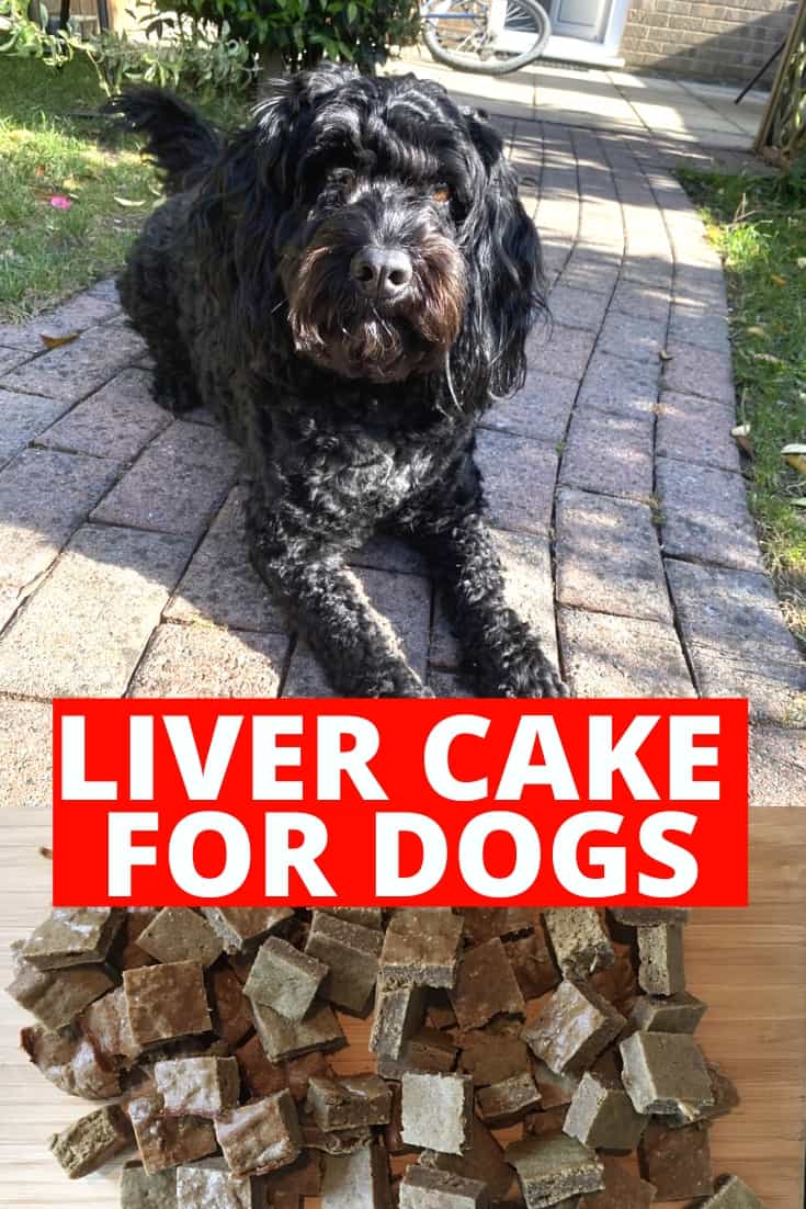 chicken liver cake for dogs