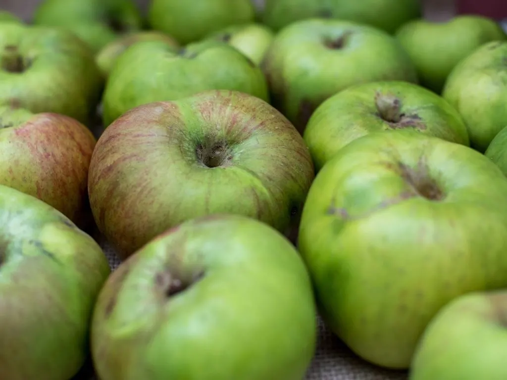 Bramley Apples