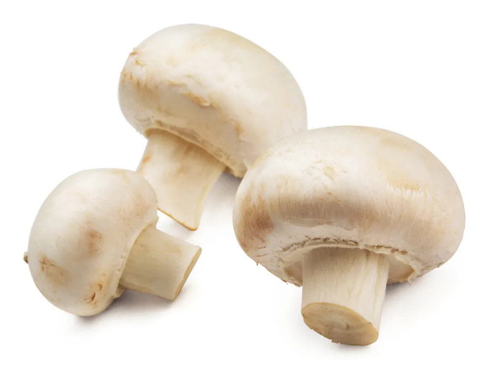 button mushrooms