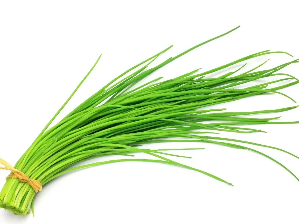 chives