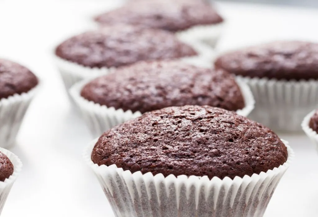 chocolate cupcakes