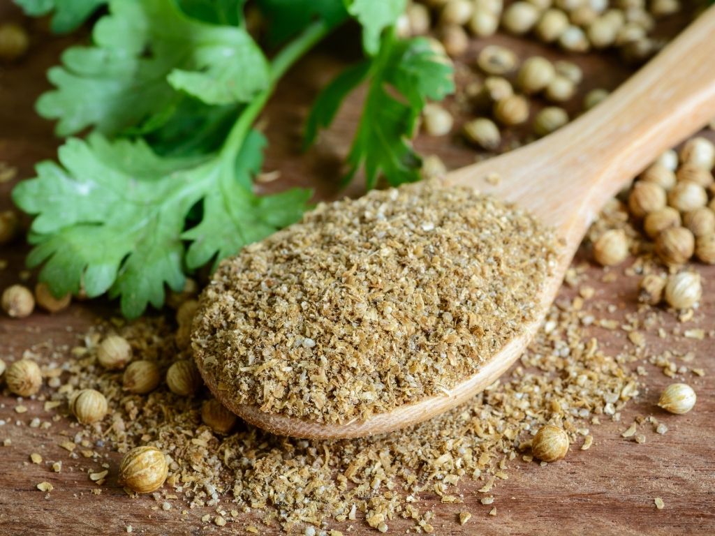 coriander