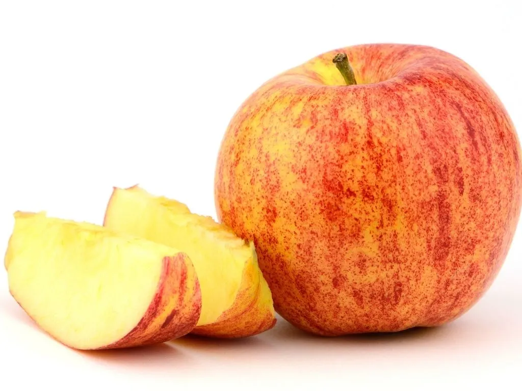 gala apples