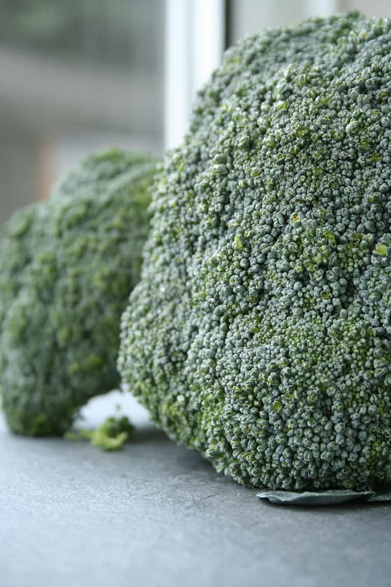 Steaming Fresh or Frozen Broccoli in the Microwave