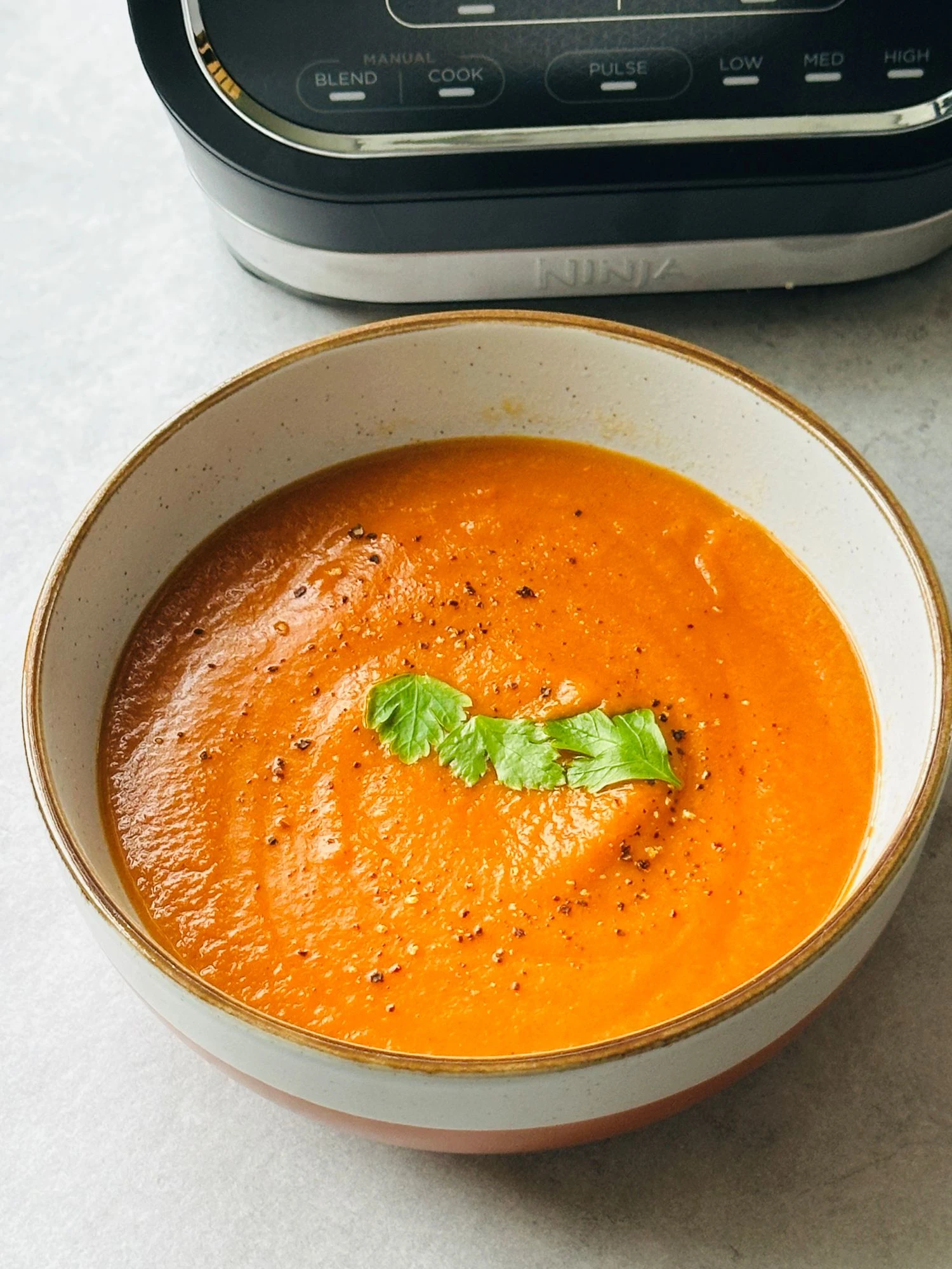 Moroccan chickpea soup in a bowl in front of a ninja soup maker