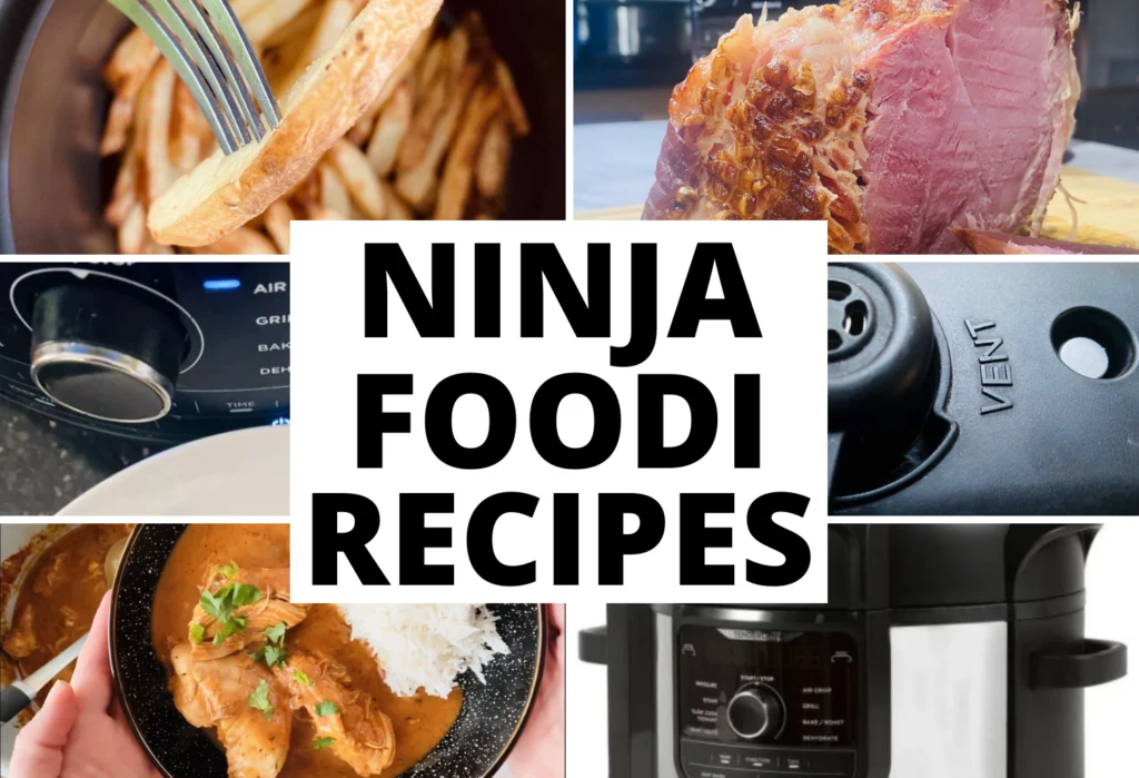 Ninja foodi best sale air crisp recipes