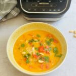 Ninja Soup Maker Chicken Satay Soup