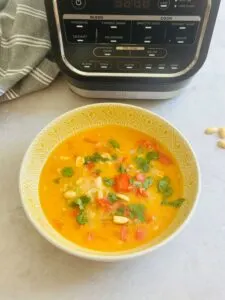 Ninja Soup Maker Chicken Satay Soup