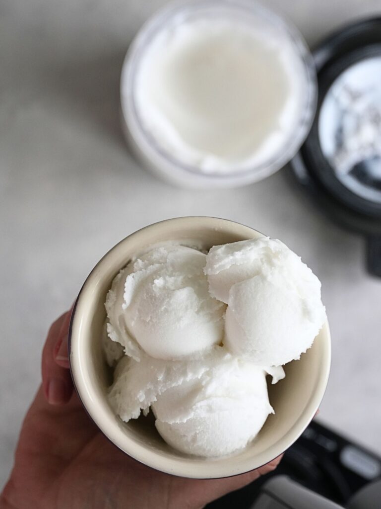Ninja creami dairy free coconut ice cream