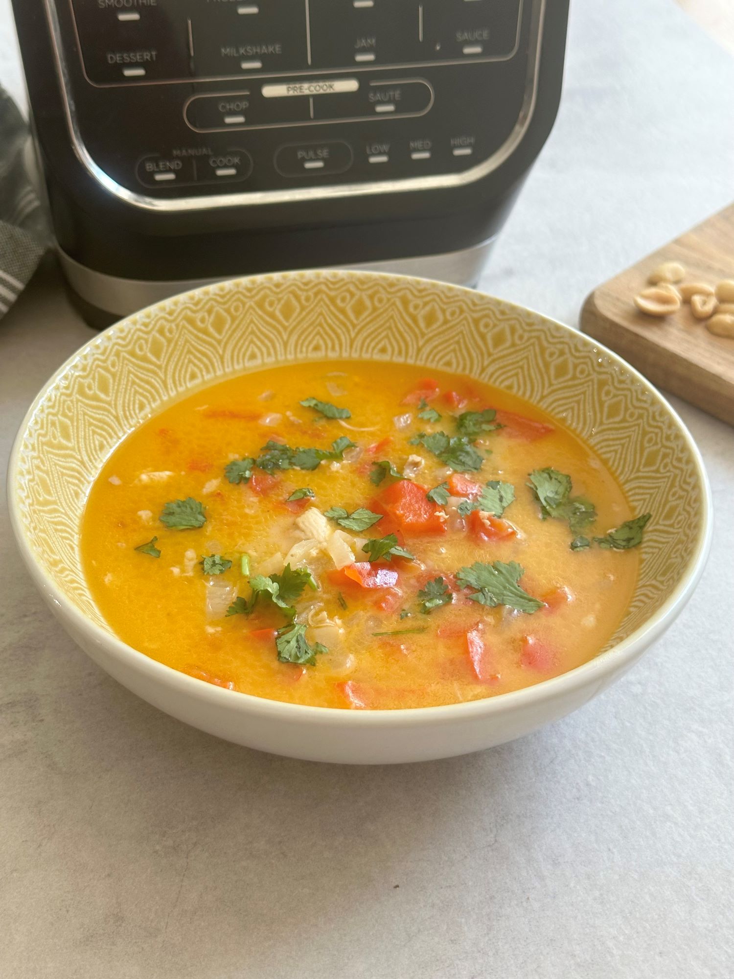 Chicken Satay Soup In A Soup Maker Liana's Kitchen