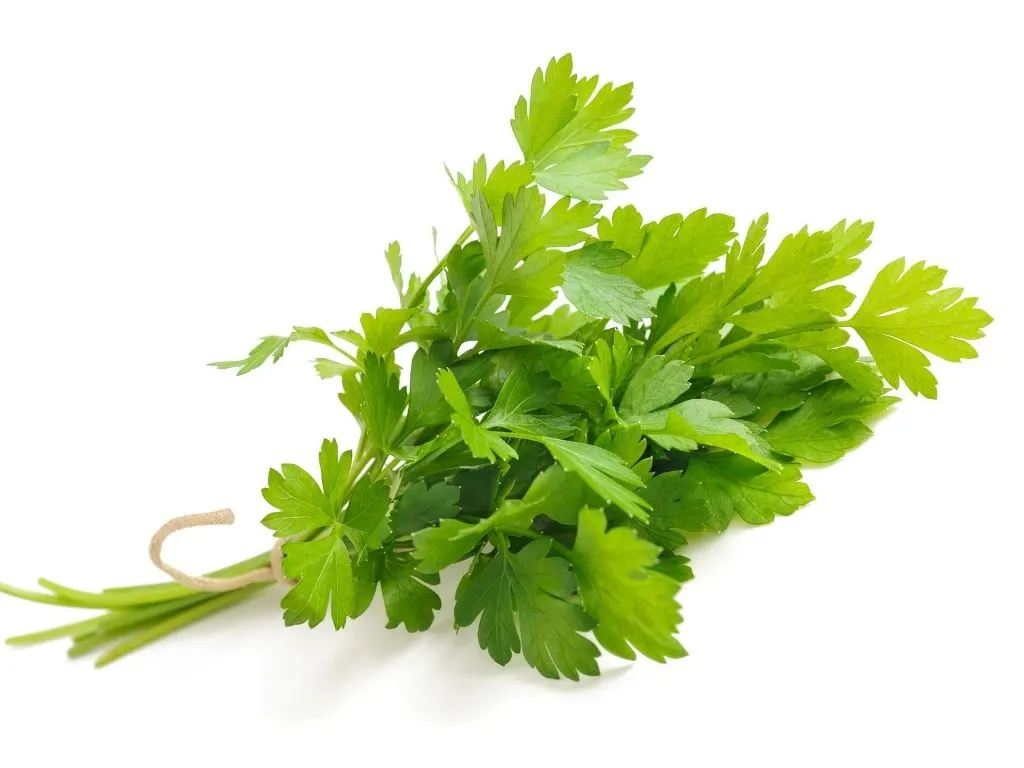 fresh parsley