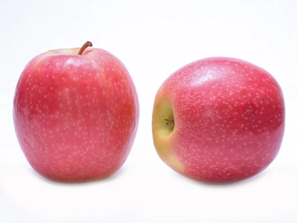 pink lady apples