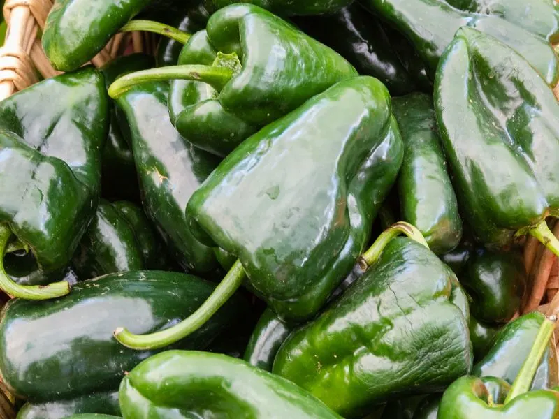 Poblano peppers