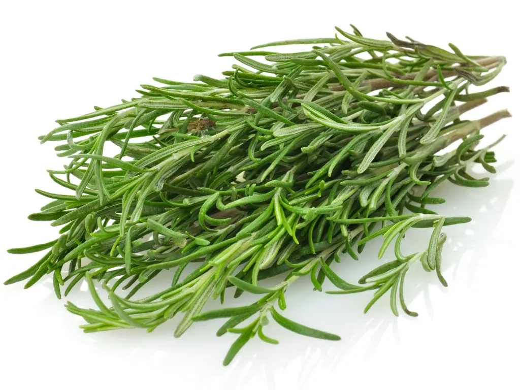 fresh rosemary sprigs