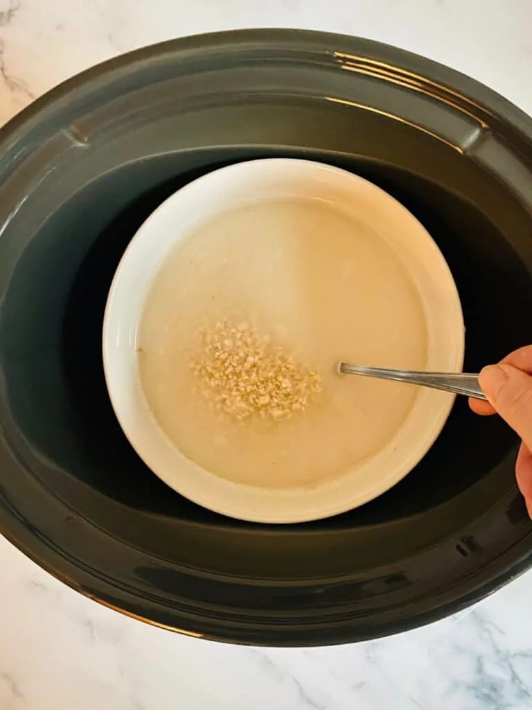 bowl in slow cooker for porridge