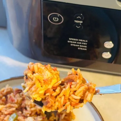 close up of cajun chicken and rice on a spoon above a plate with it on and in front of the Ninja Speedi