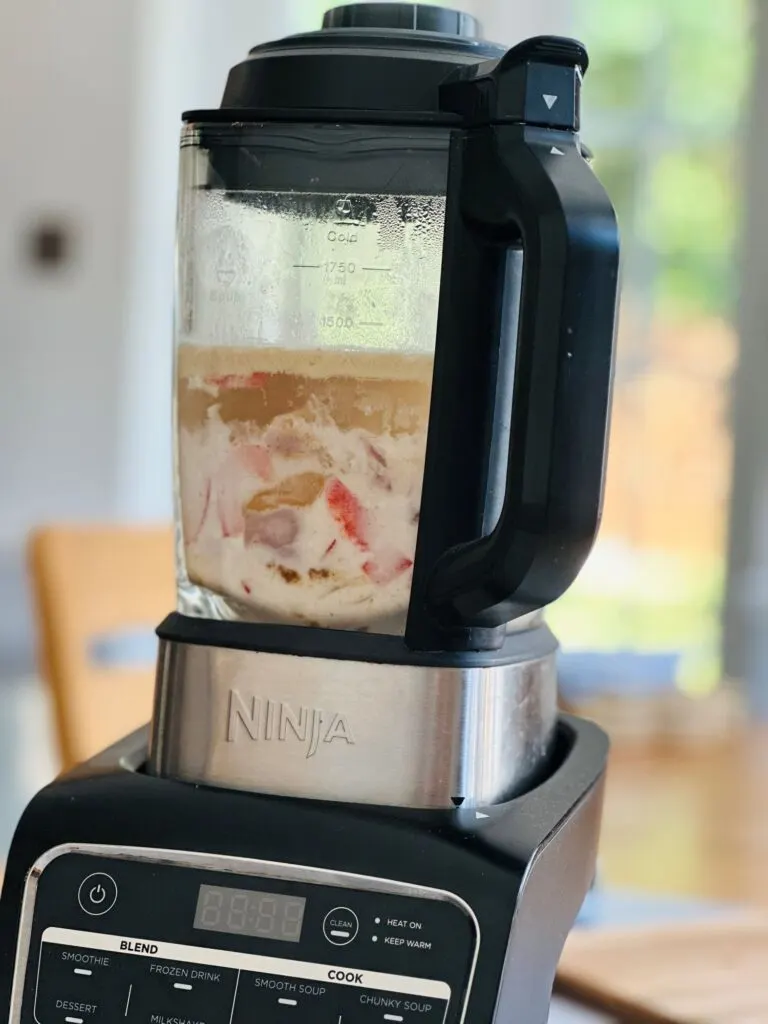 chicken satay ingredients in Ninja soup maker