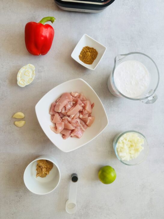 Chicken Satay Soup In A Soup Maker Liana's Kitchen