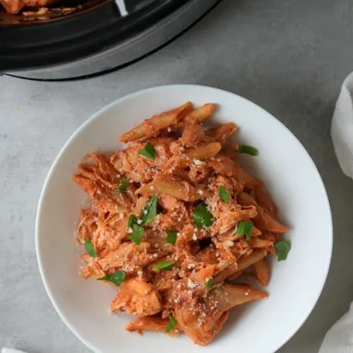 creamy chicken tomato pasta on a white plate next to a slow cooker