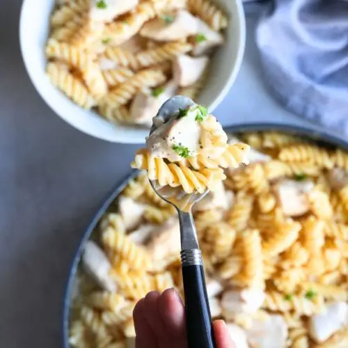 creamy garlic chicken pasta on a spoon above a bowl full of the same food