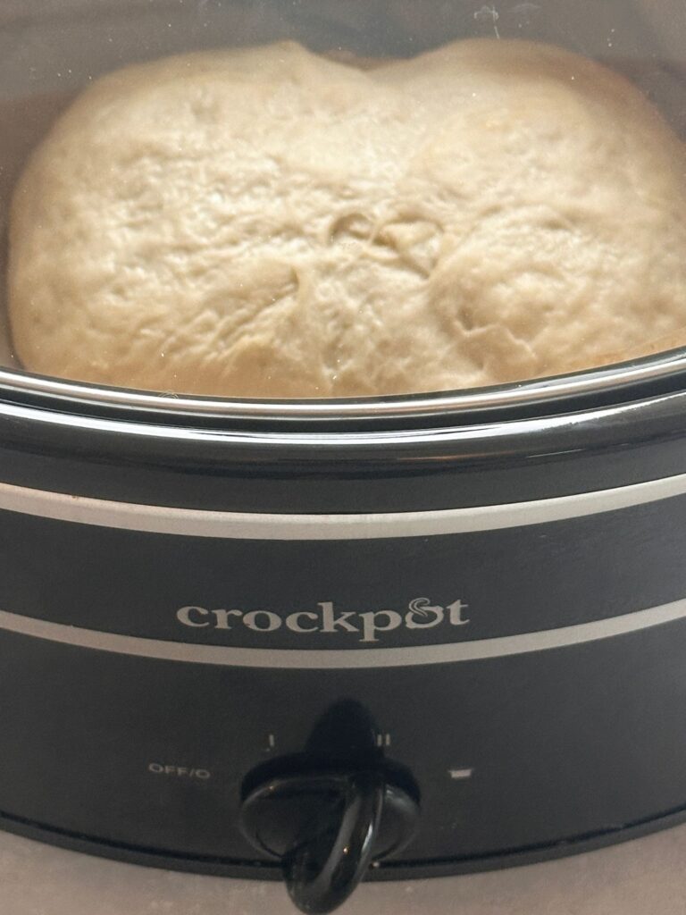 dough in slow cooker with the lid on