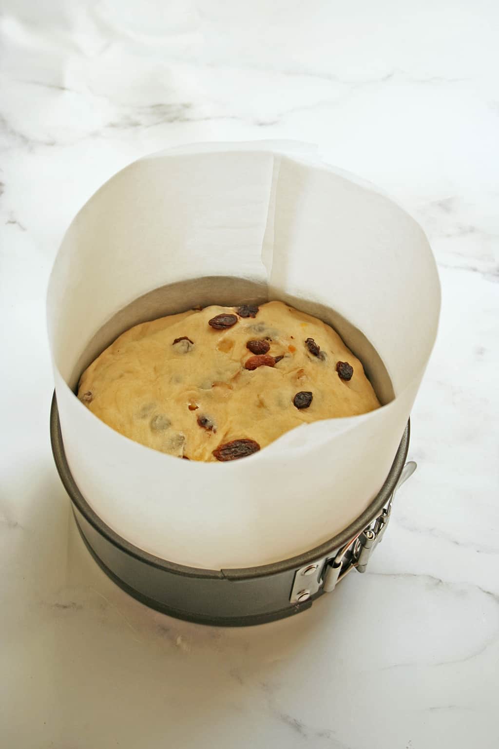 panettone dough rising in tin