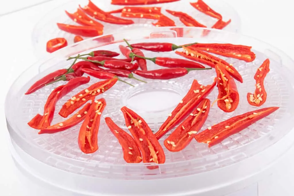 drying chillies in dehydrator