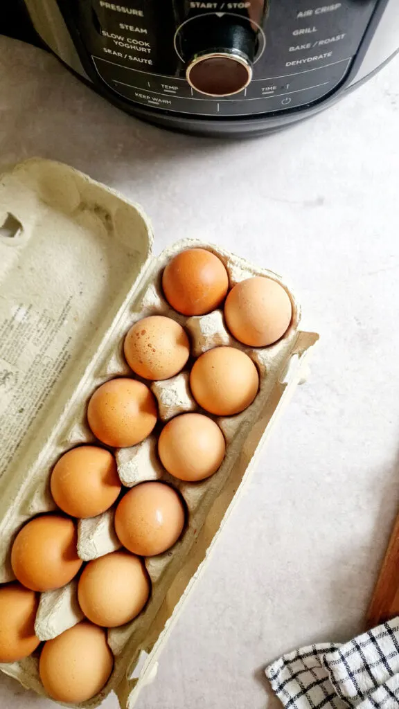 eggs in carton next to Ninja Air Fryer