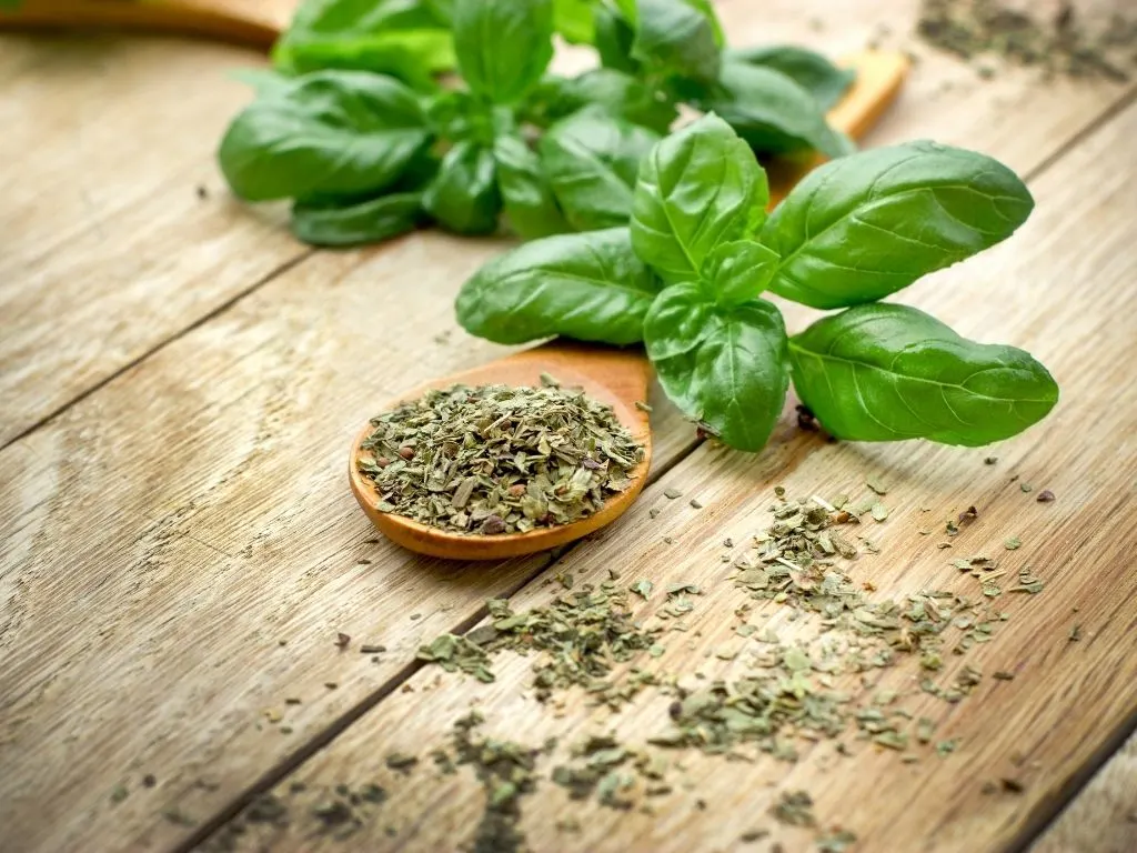 dried basil next to fresh basil leaves