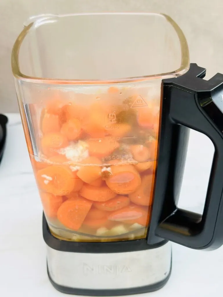 ingredients and hot water in Ninja Soup Maker