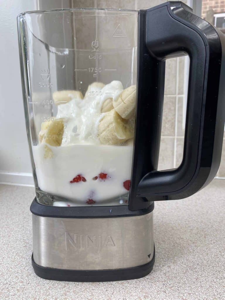 ninja smoothie blender manual