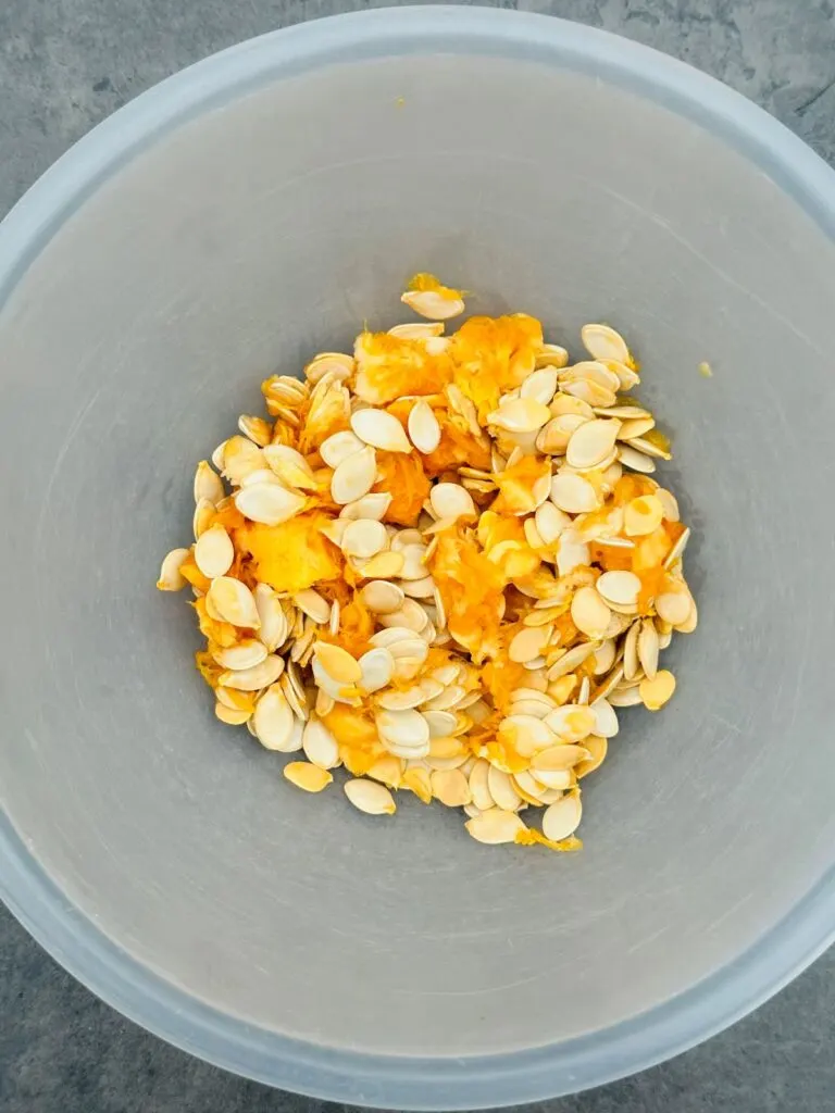 pumpkin seeds in bowl