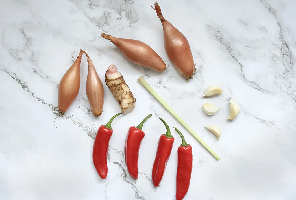 ingredients for rendang paste