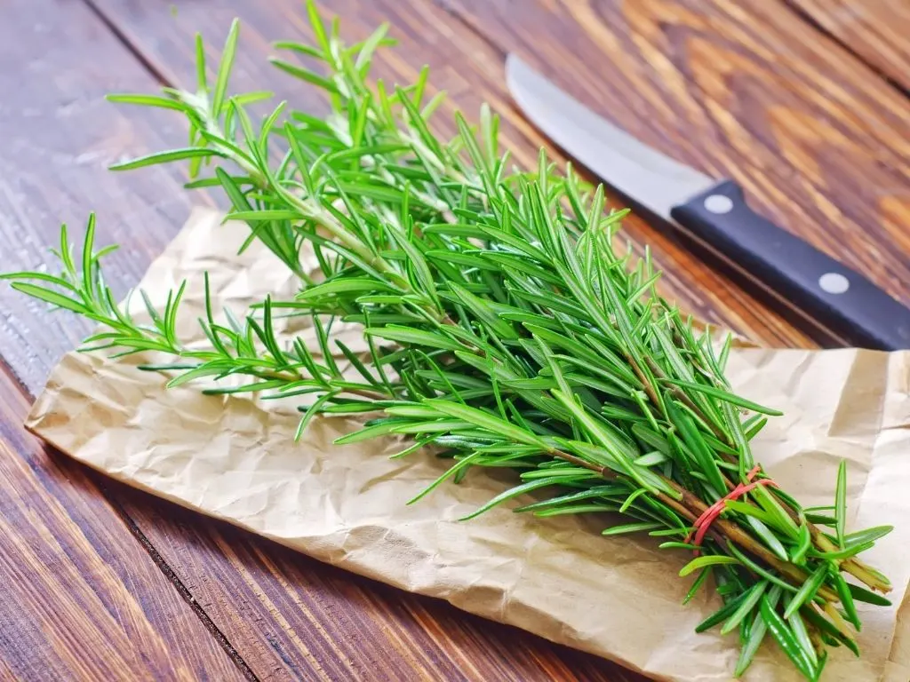 rosemary on top of paper bag