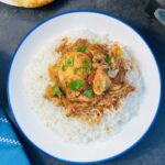 slow cooker chicken curry