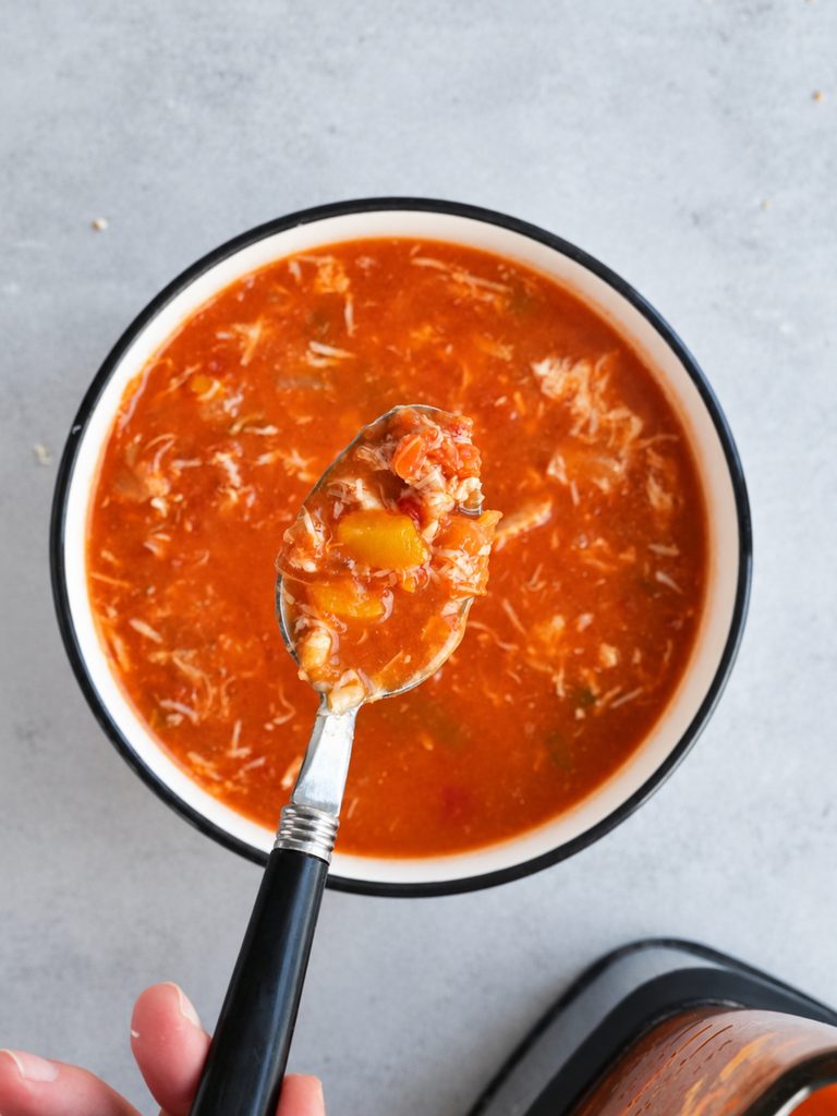 Chicken Fajita Soup in a Soup Maker
