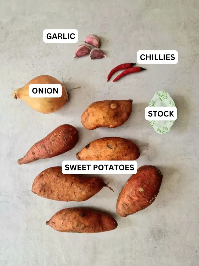 image showing ingredients laid out and labelled for sweet potato and red chilli soup made in a soup maker: garlic, chillies, onion, stock and sweet potatoes
