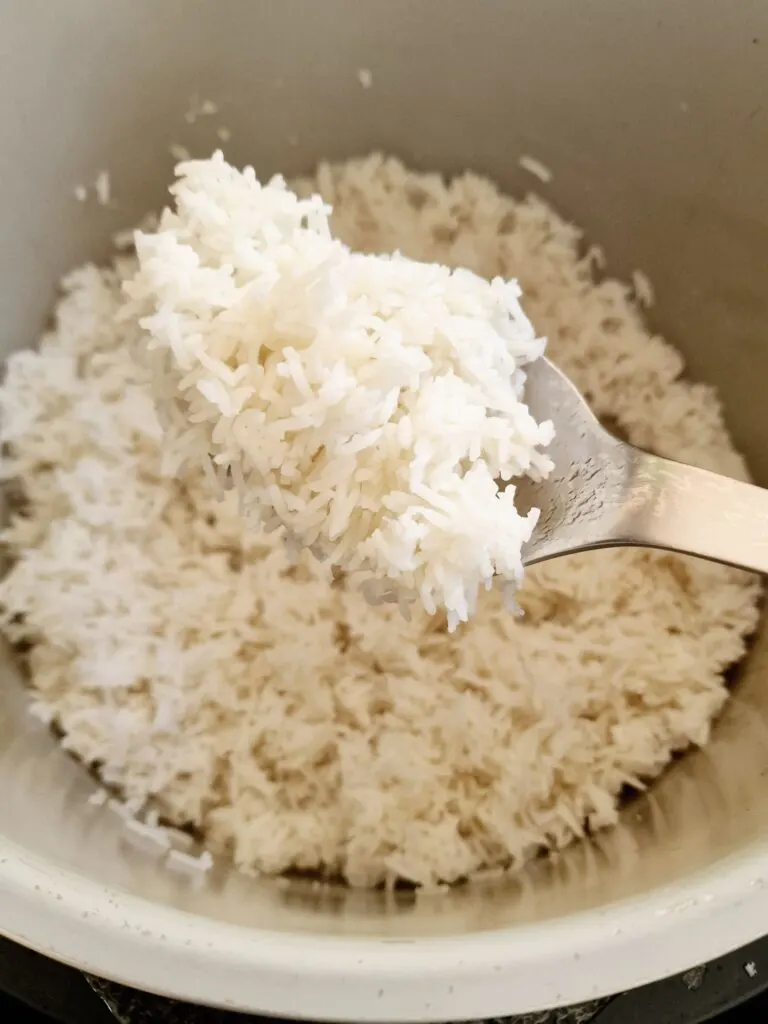 white rice on spoon Ninja
